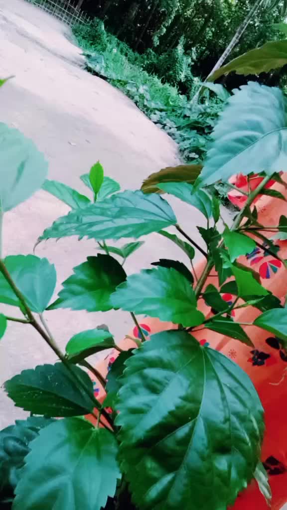 @Priyanshi Devi