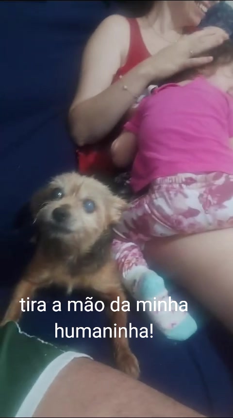 @Raquel Harazin