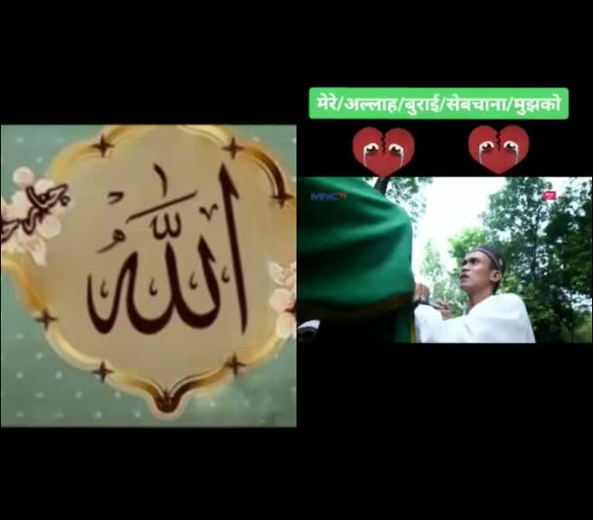 @md shamshad