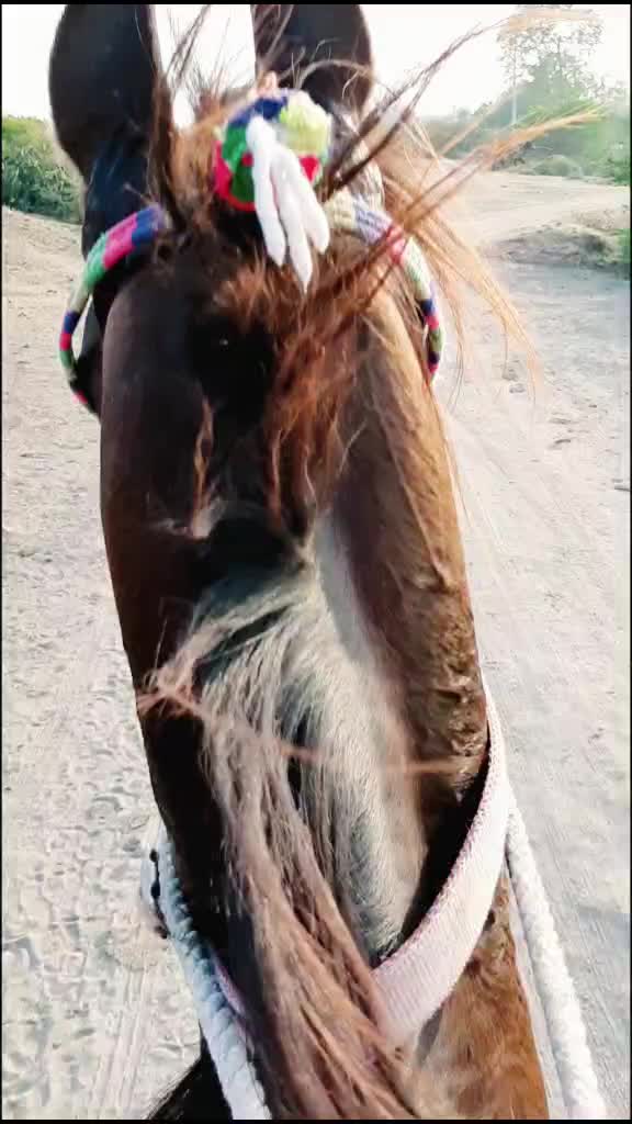 @vishal_ mundhava_ 88