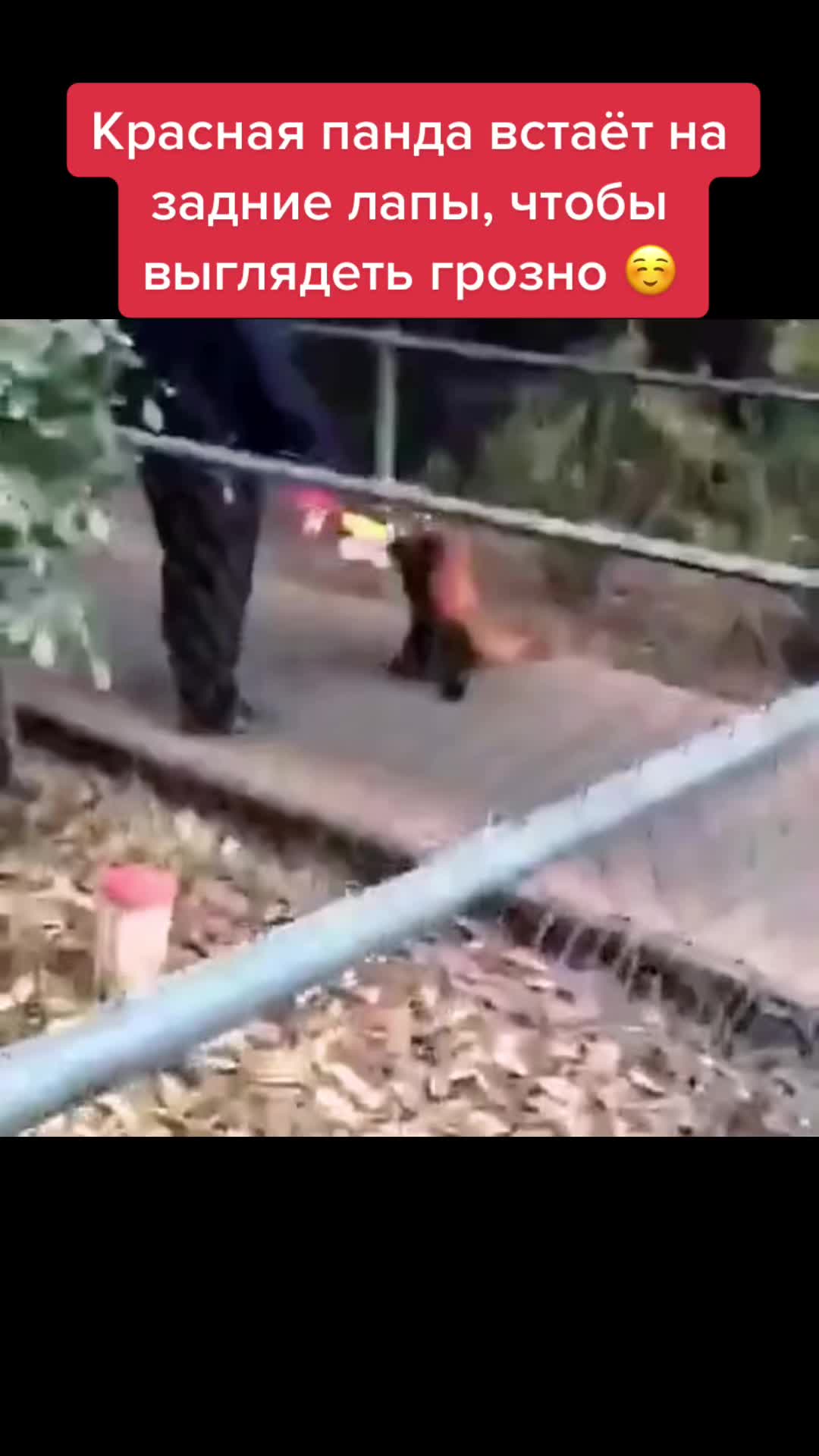@TOP CONTENT