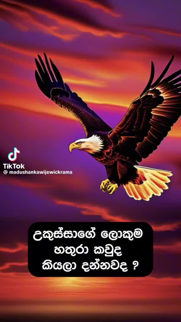 @sanchana