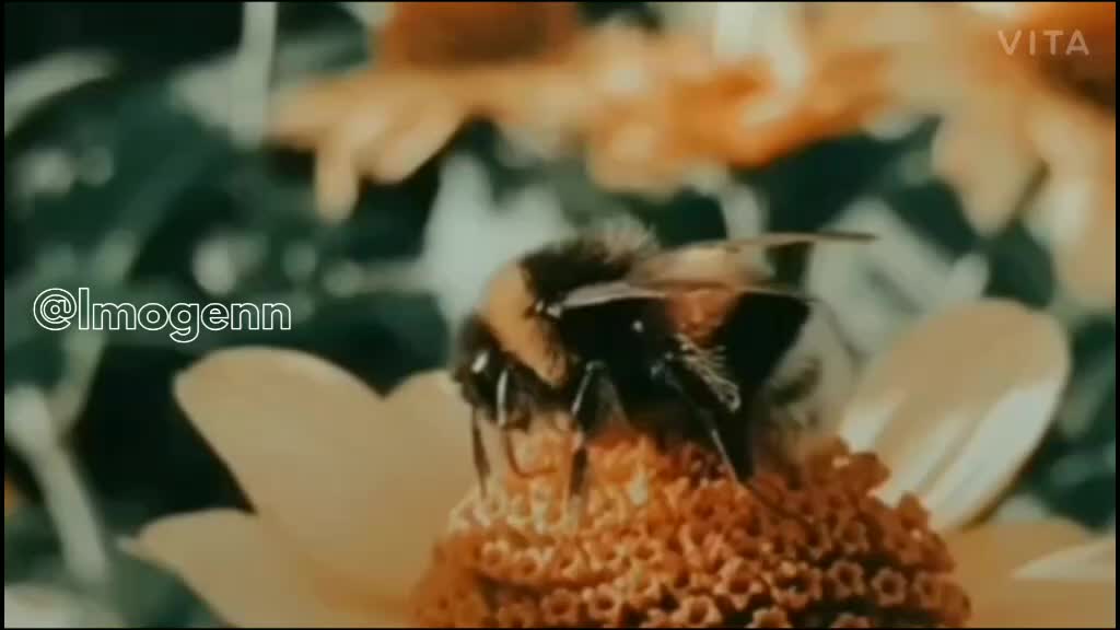 @๐ธ๐๐๐๐๐