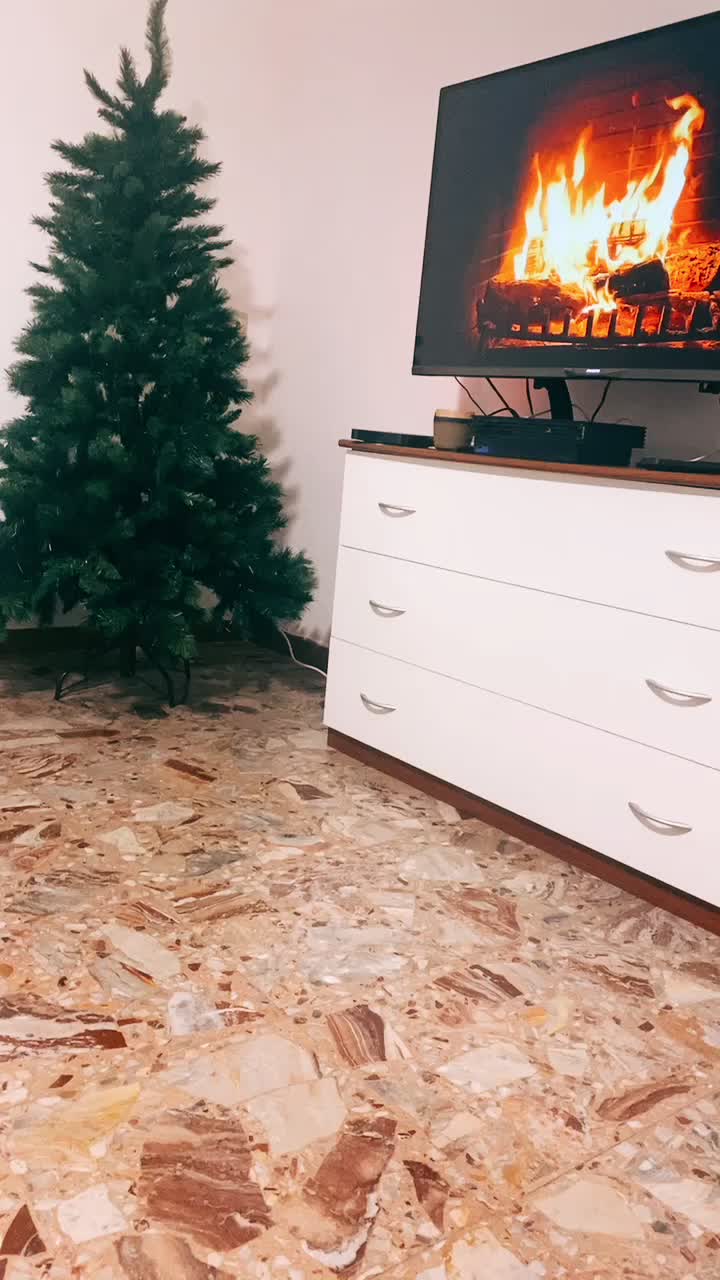 @nicole.mammoli
