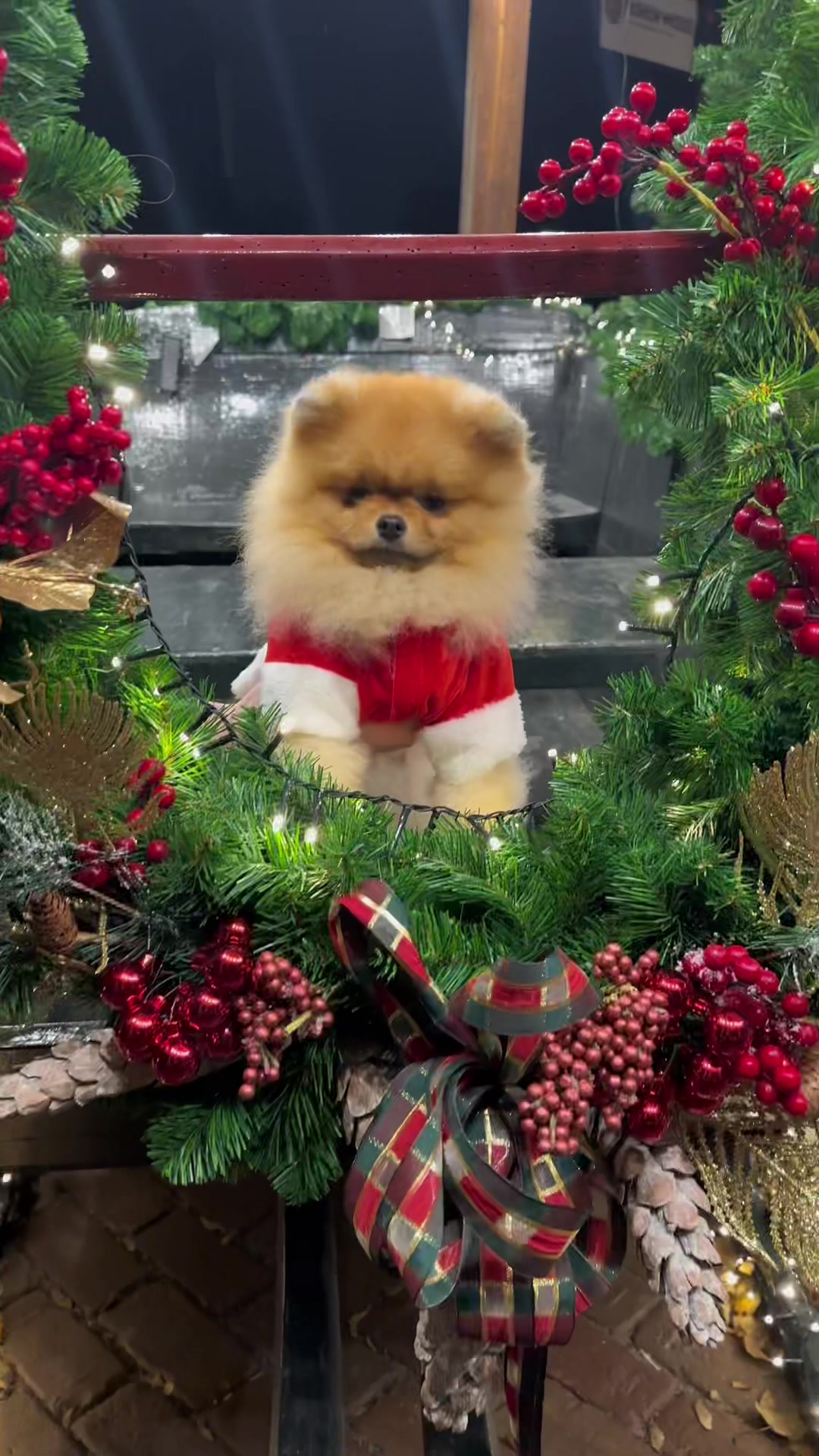 @yoshi.thepom