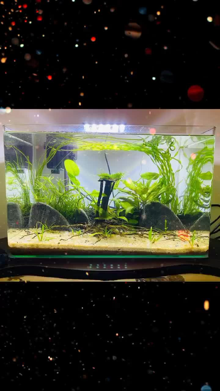 @goldenaquahub