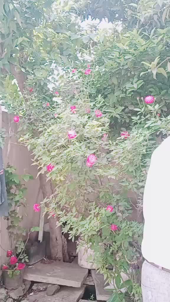 @Sudhir Ag Lave