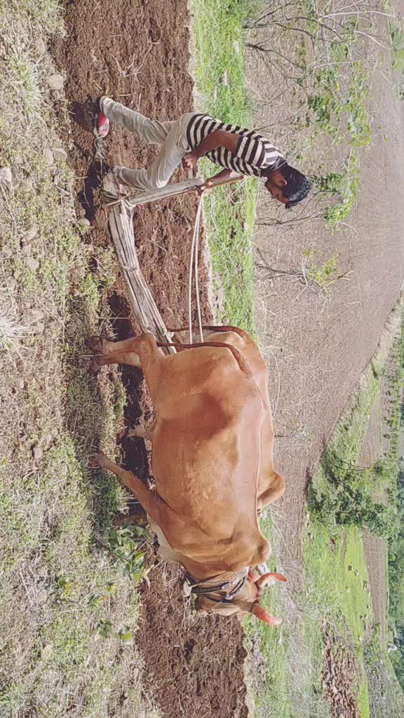 @sudarshan patil