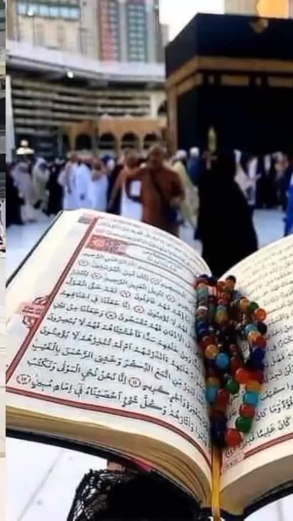 @user20831596725