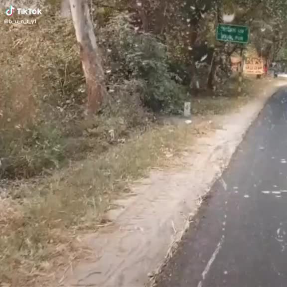 @Nishant Khatri