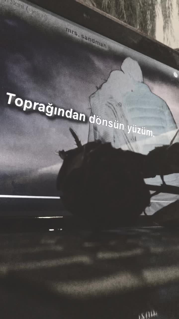 @🖤SiyahbeyazAŞK🖤