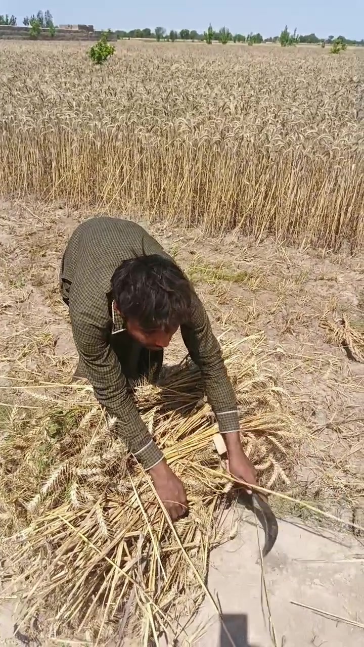 @Baba_Abbas