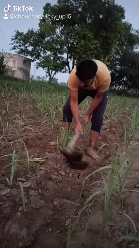 @Vivek Khatri
