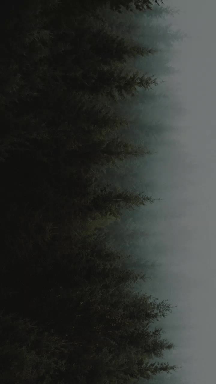 @✰Ṩrͥeeͣjͫi†h✰
