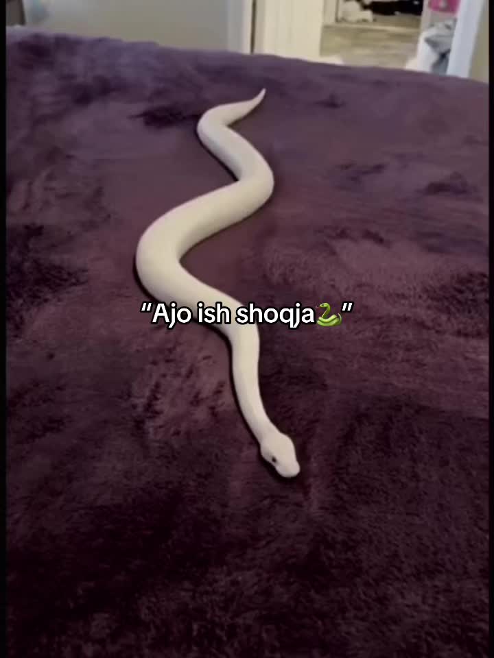 @