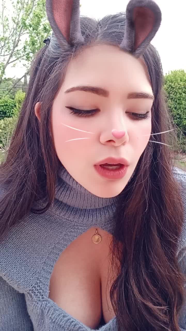 @Lapini 🐰