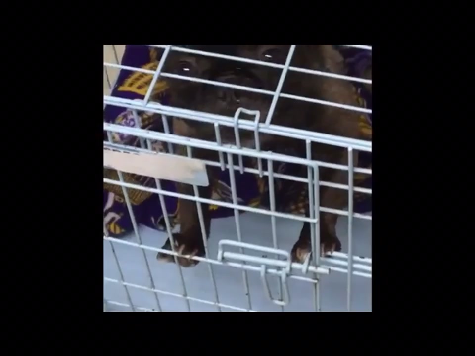 @Nayt Cumming