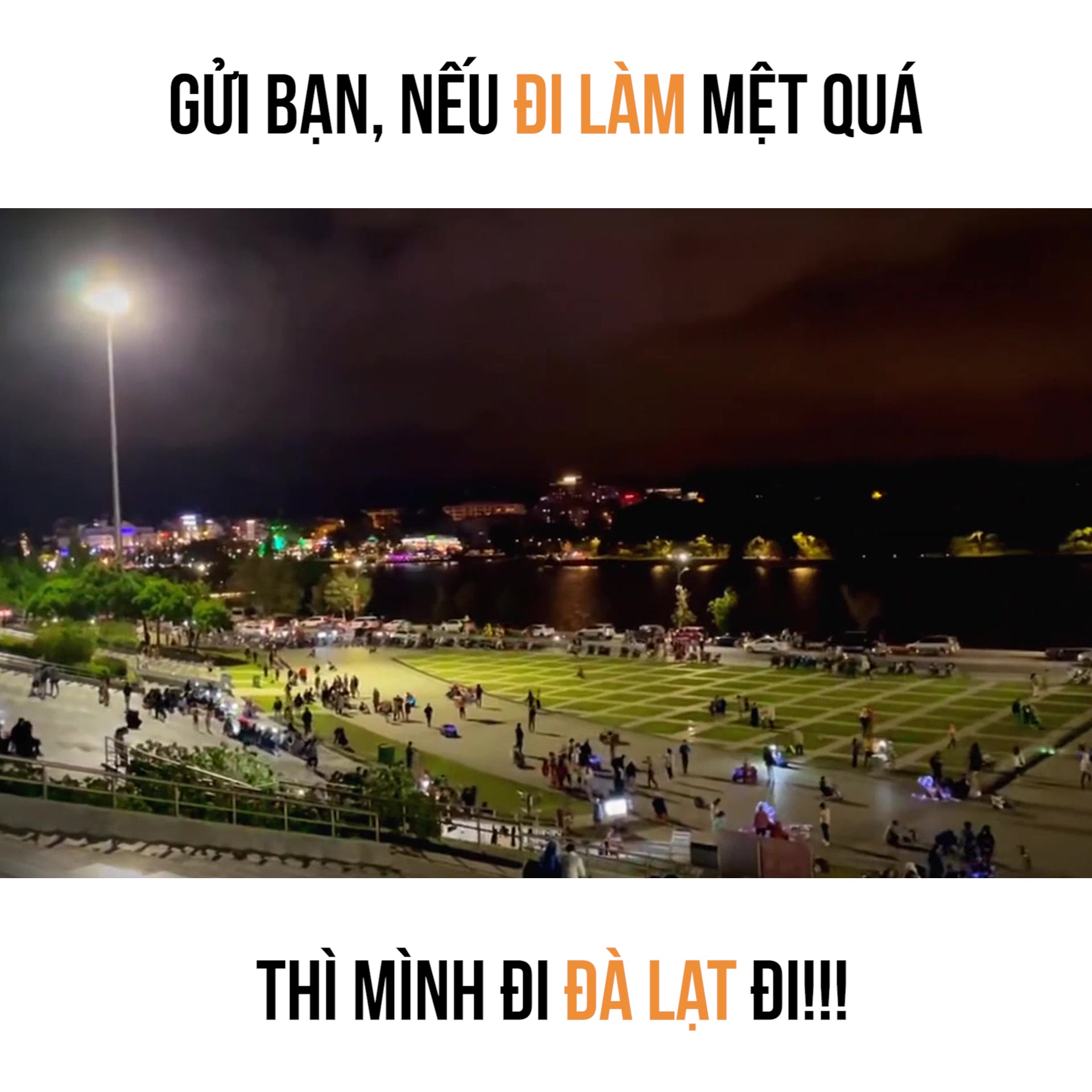 @Halo Vietnam