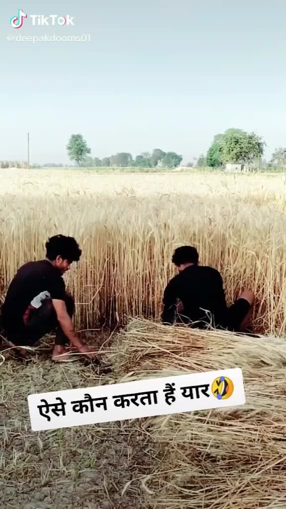 @Yo Yo Mikka Singh
