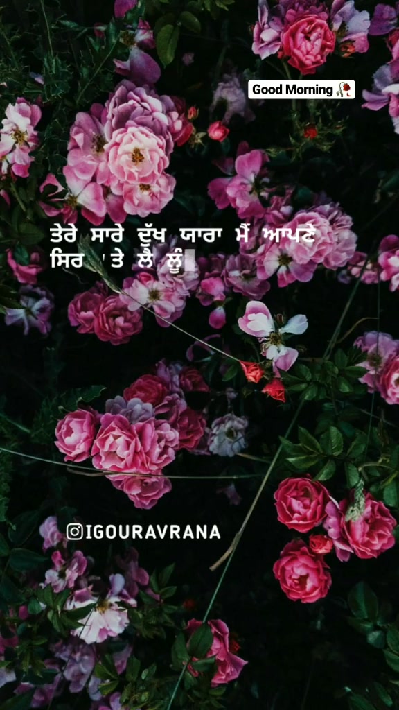 @Gourav Kaushal
