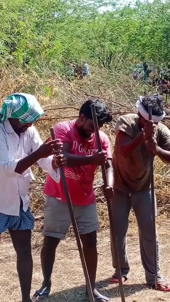 @Ani Sardar