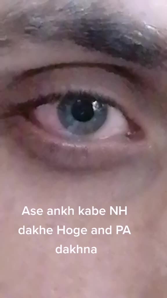 @user31391832927
