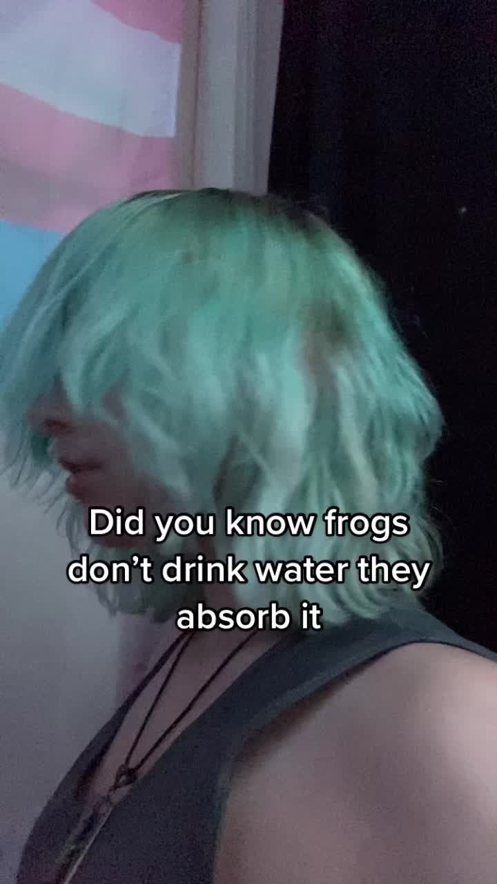 @🐸The_frog_king🐸