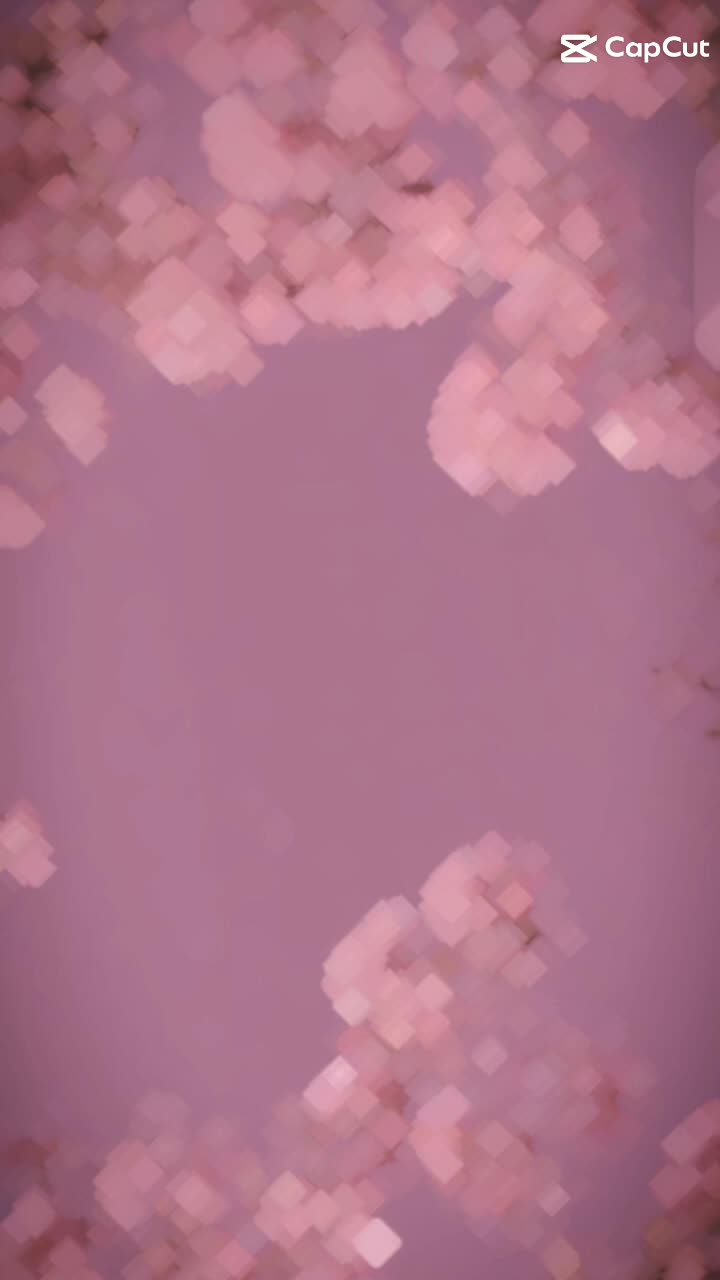 @° ⋆ 𝒯𝒶𝒶𝓃𝒾𝒾𝓉𝒶𝒶𝒞 ⋆ °