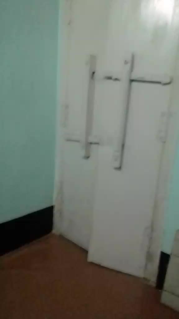@user369530308094