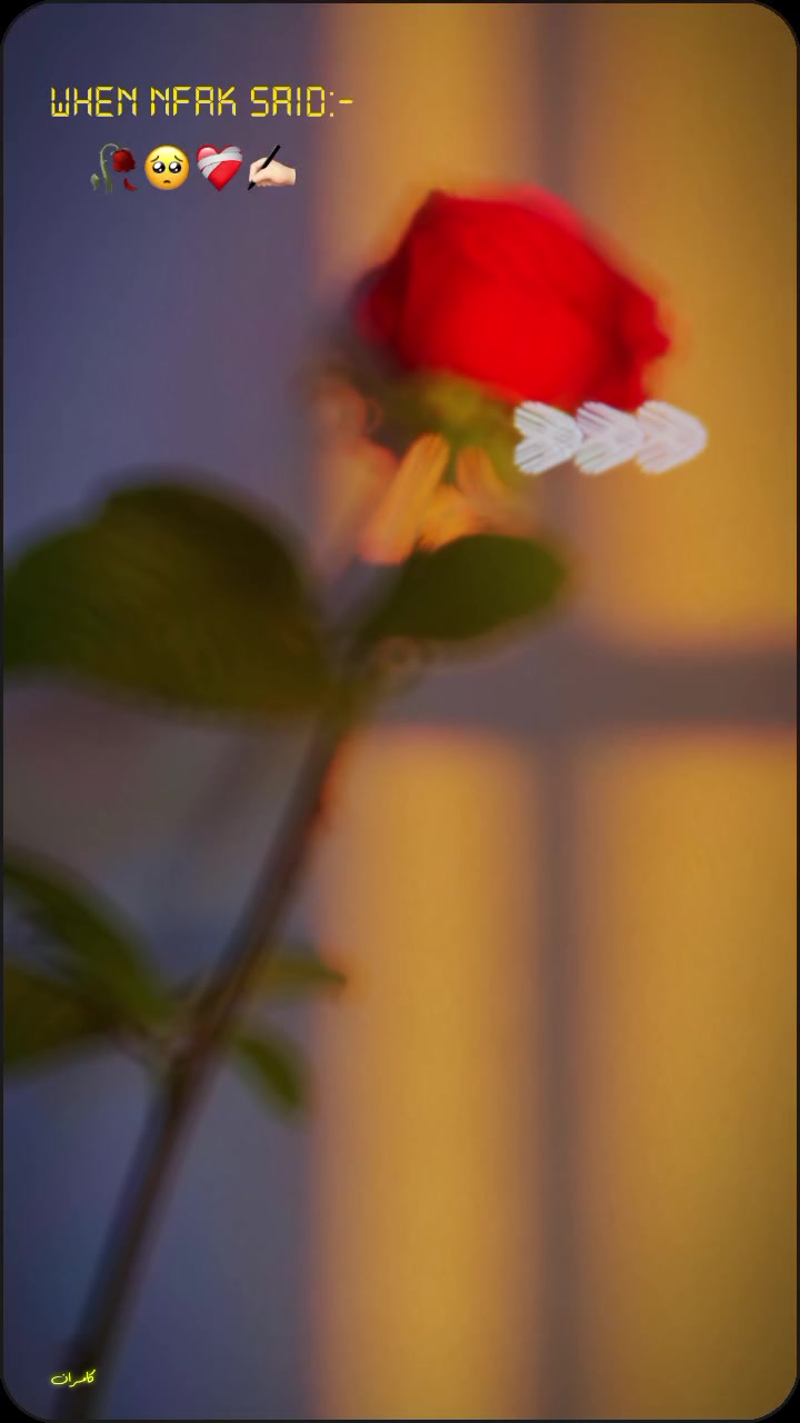@hareemshaikh258