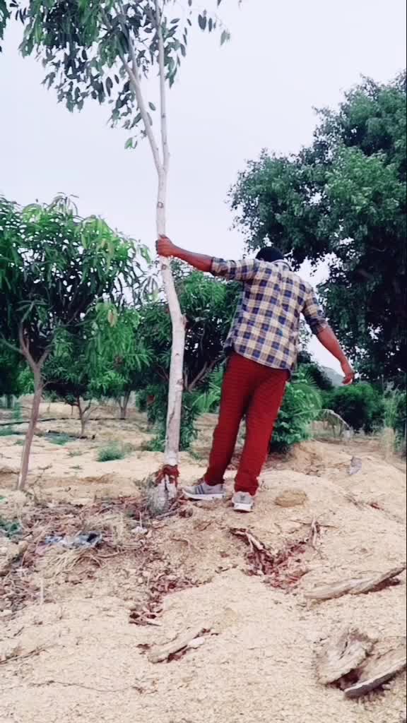 @paradesi madan