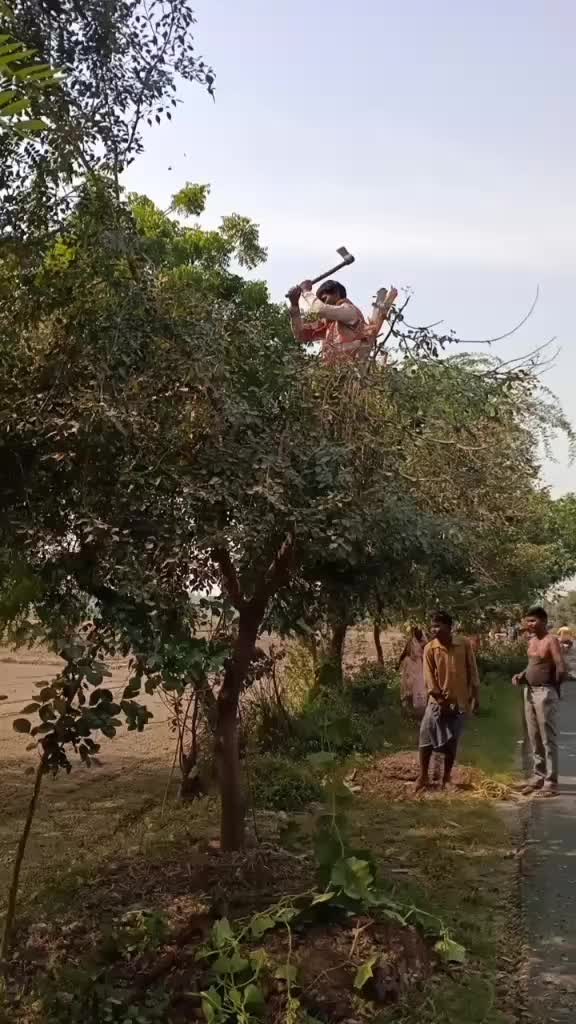 @user464775136808