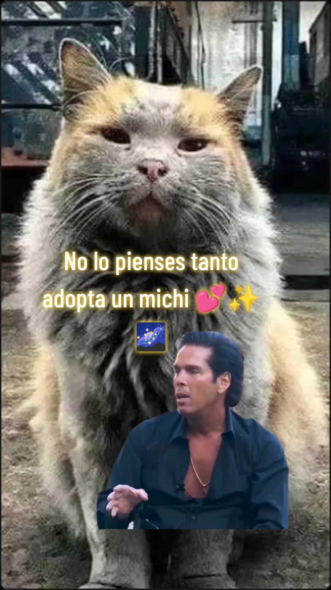 @Ale Rojo