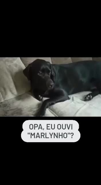 @MARLEY E ELAS