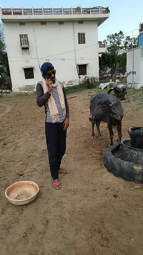 @Inder Jatwa
