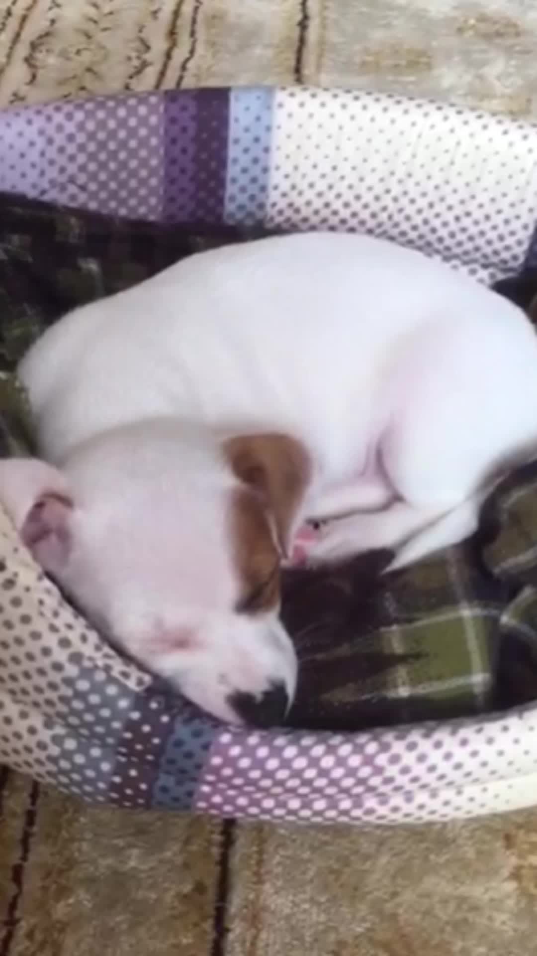 @Вика Котеленко