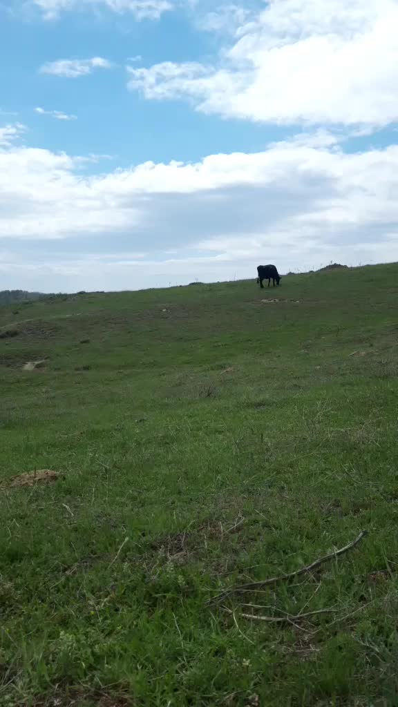 @yakup gökmen