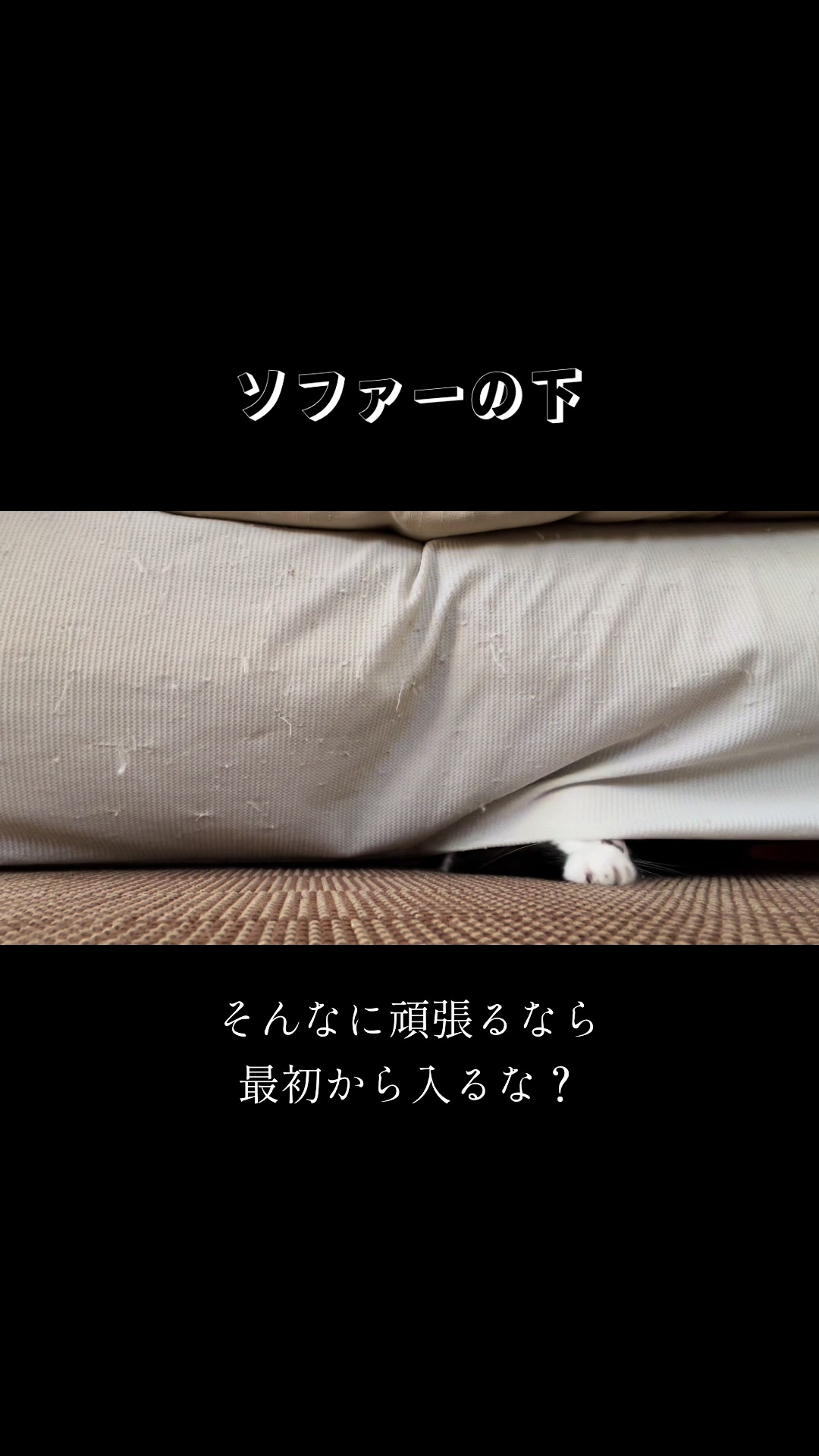 @バギー