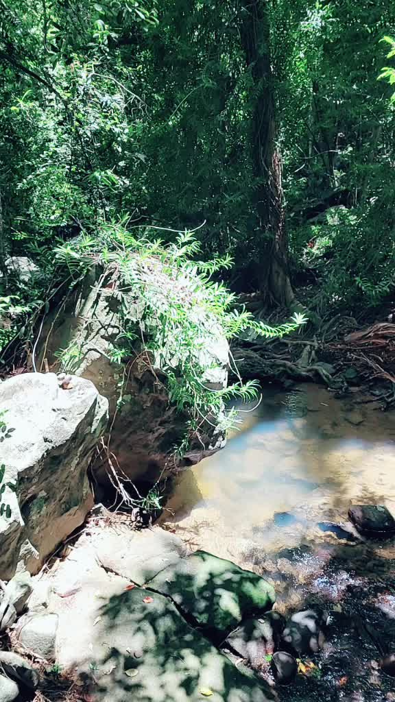 @Madd Hill