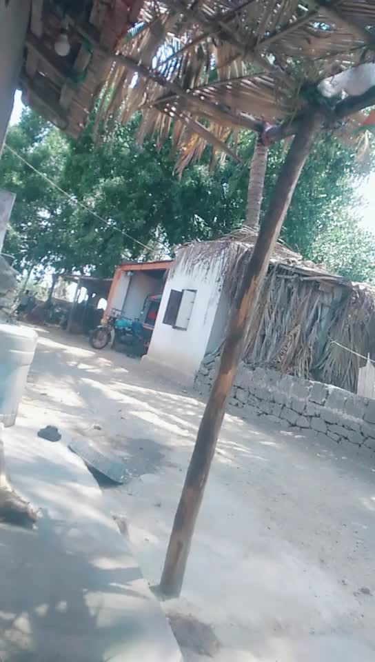 @Dilip Chohan