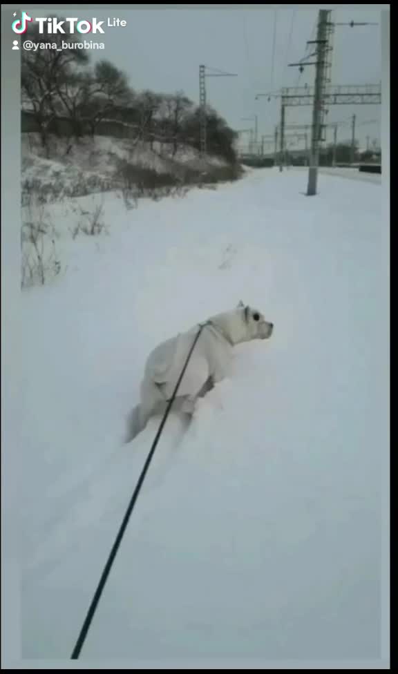 @Яна