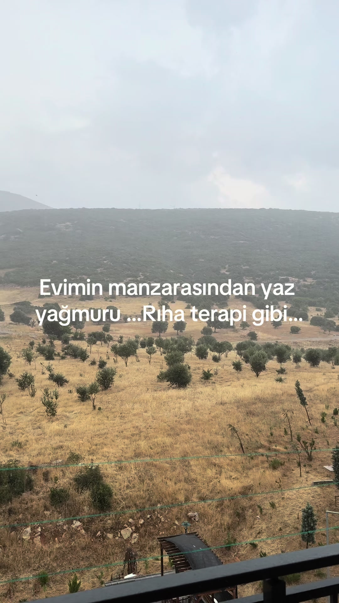 @Eylem Şenkaya