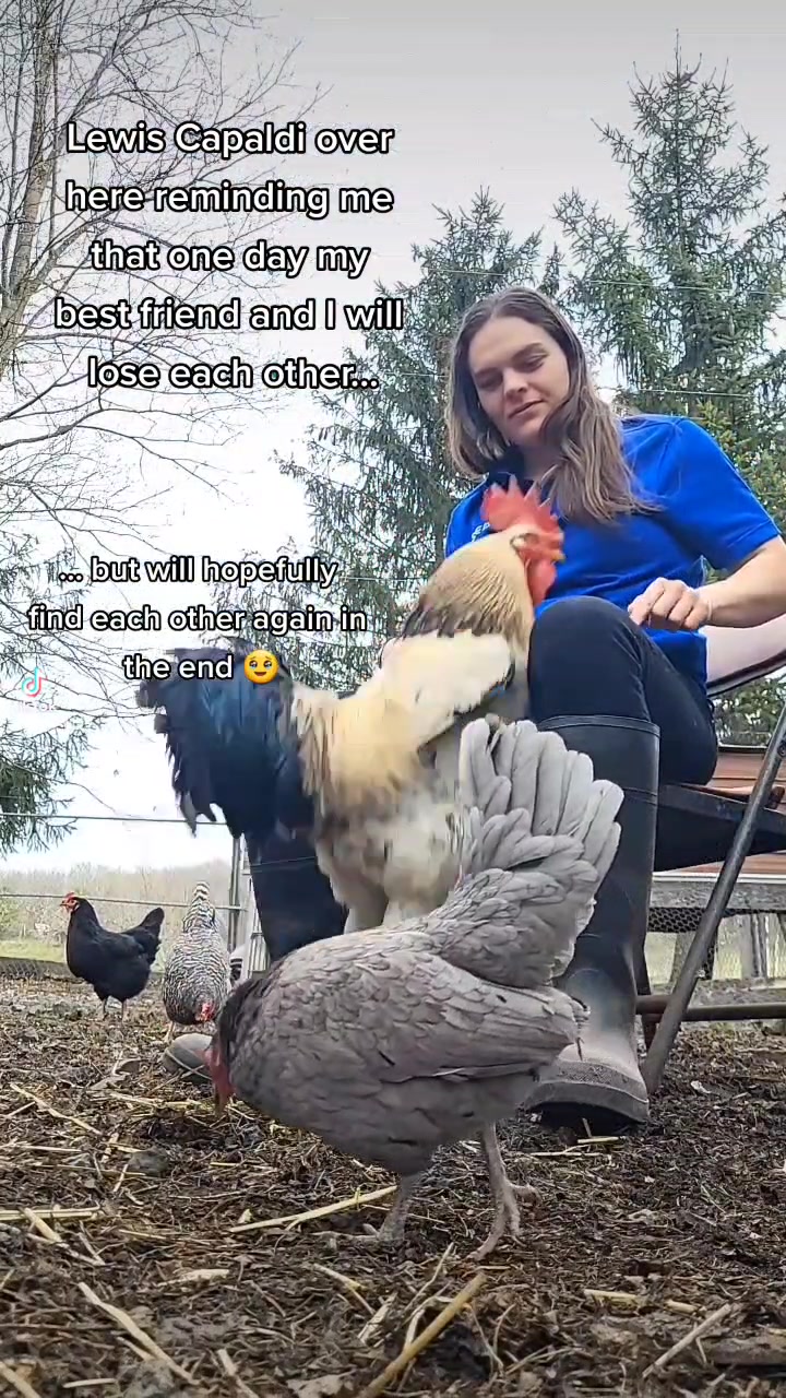 @alexlabaj