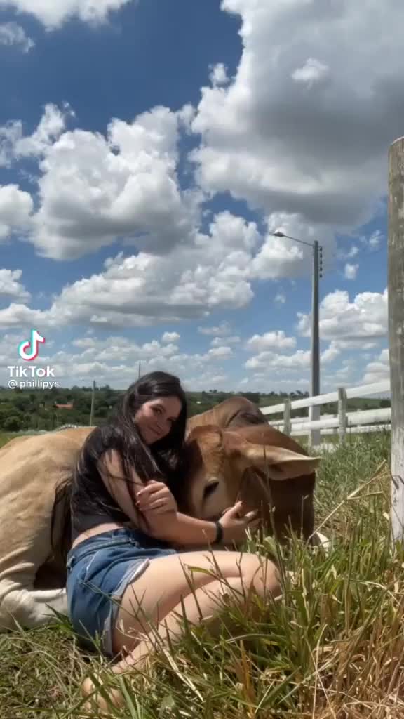 @n&atilde;o a original 🙃