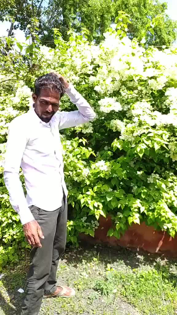 @shaikhmukhed1902