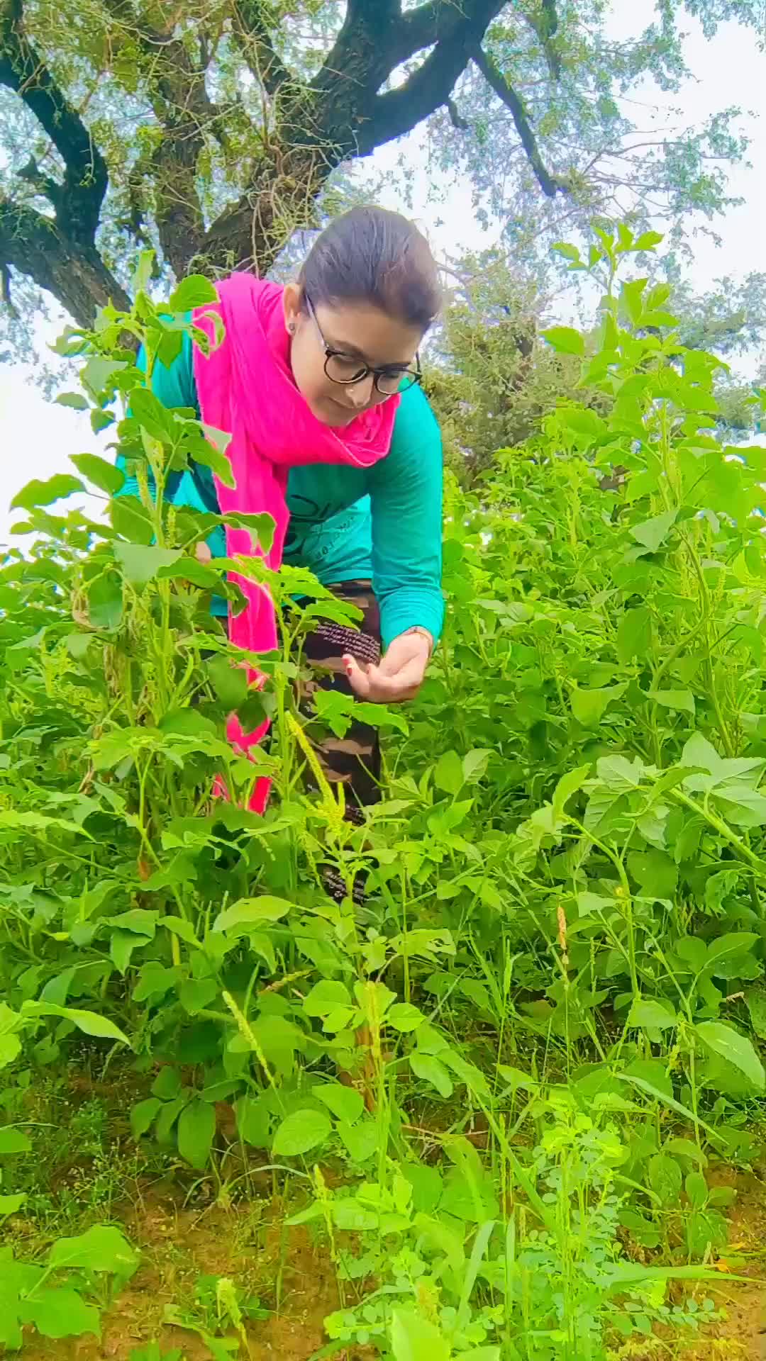 @rajsthanijhalak