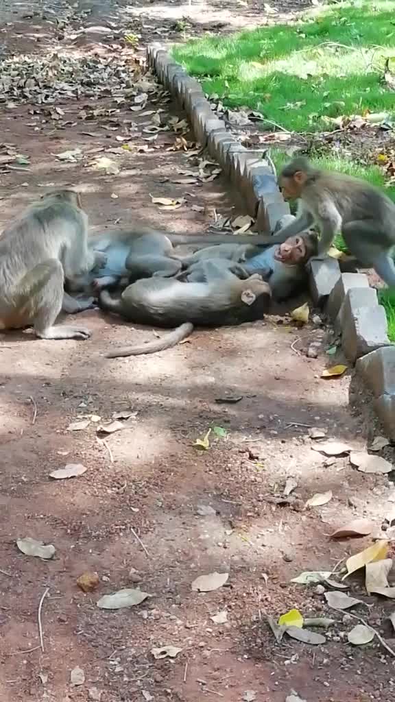 @Sudha Uma🤩😍😘