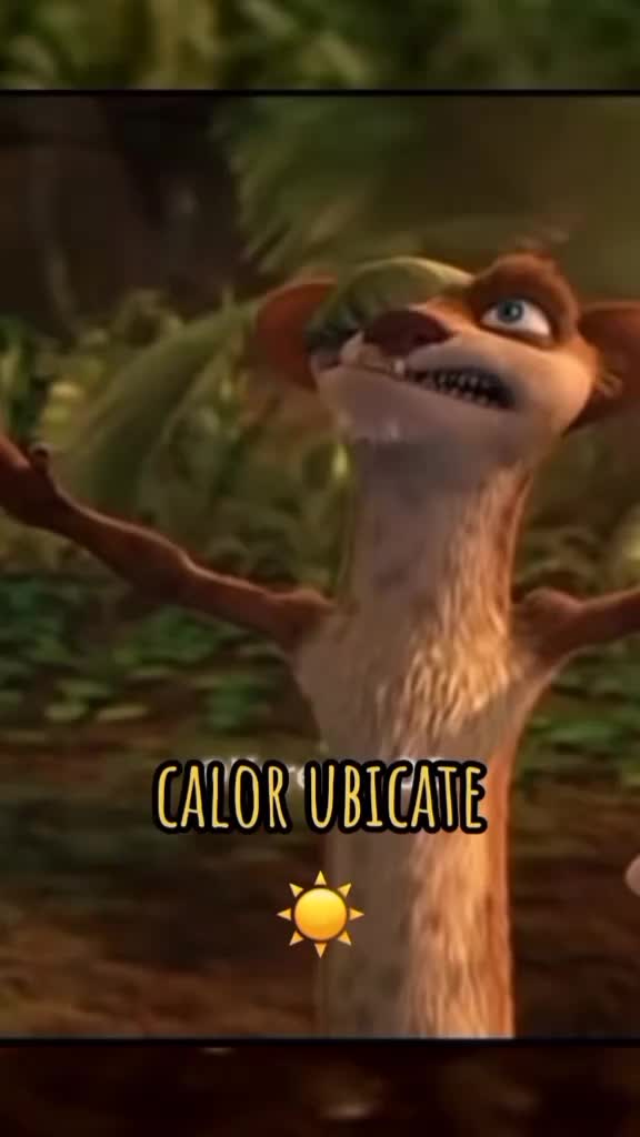 @carito