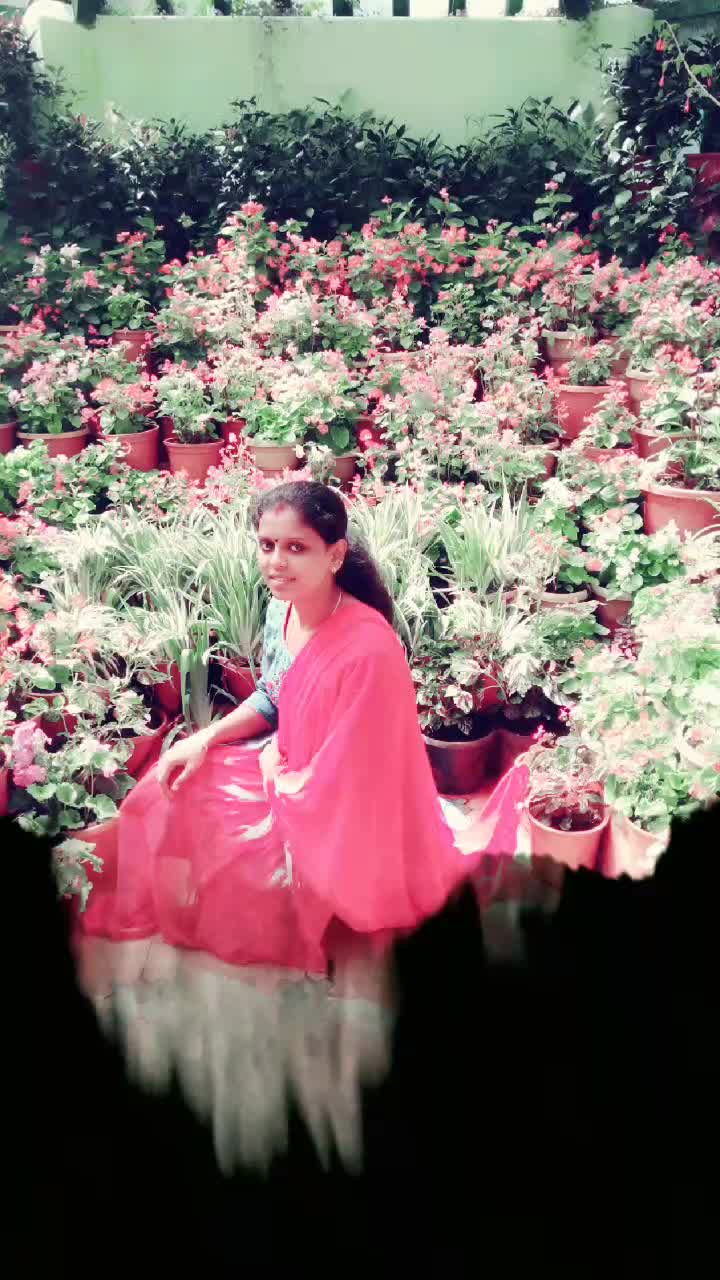 @കുട്ടേട്ടന്റെഅമ്മിണി