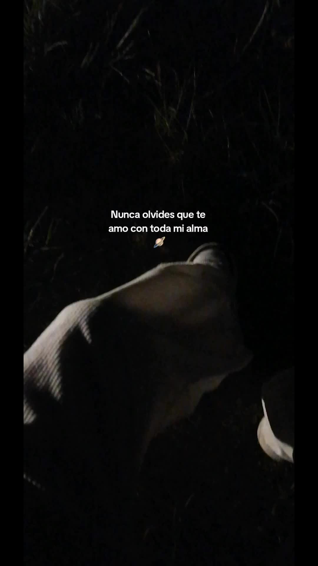 @JHOON Xz